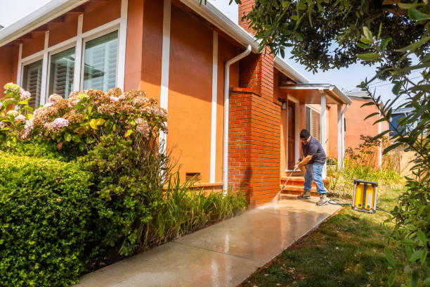 Best Affordable Power Washing  in Tellico Plains, TN